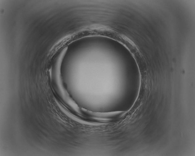 X0000081441112200701121159