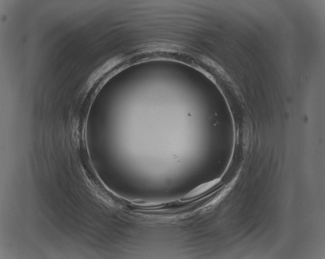 X0000081441113200701121159