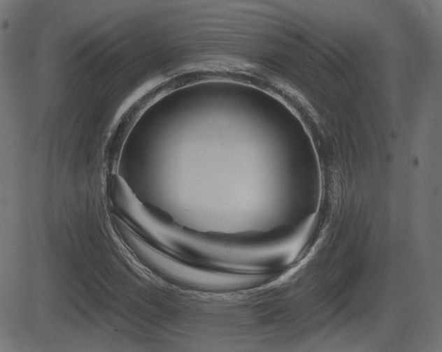 X0000081441114200701121159