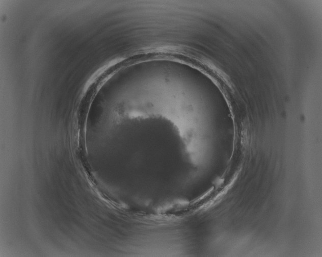 X0000081441117200701121159
