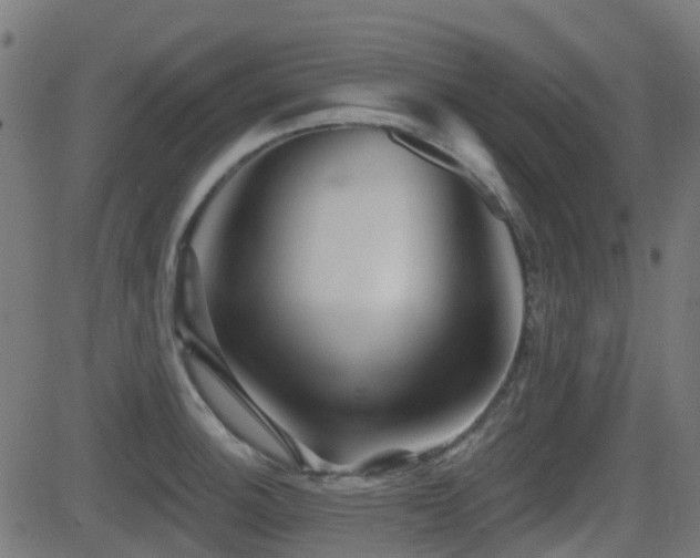 X0000081441140200701121159