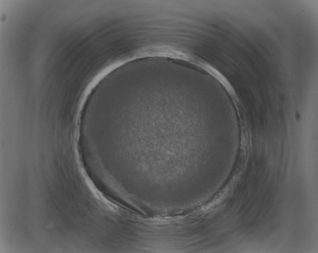 X0000081441144200701121159