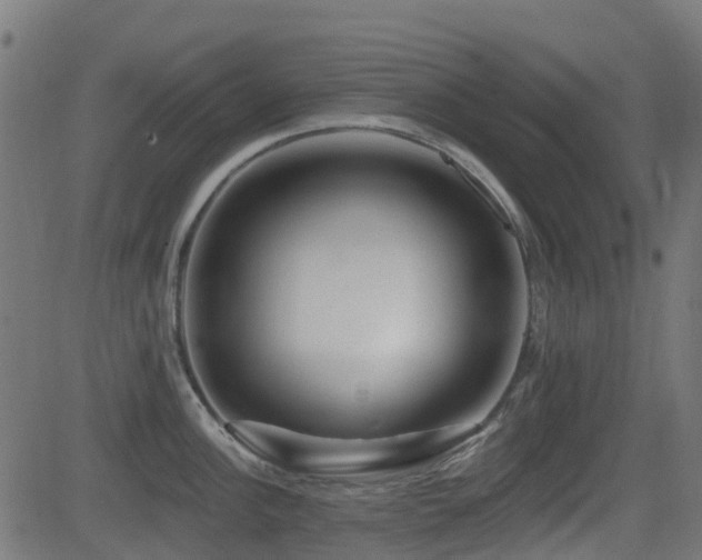 X0000081441148200701121159