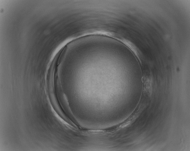 X0000081441151200701121159