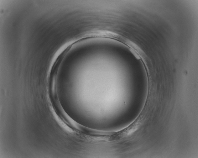 X0000081441152200701121159