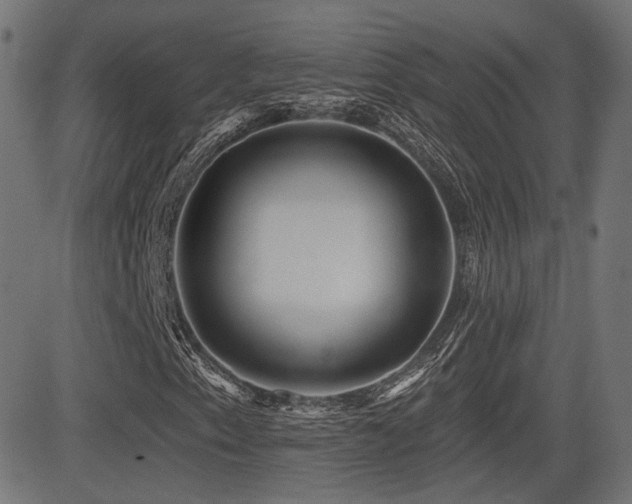 X0000081441153200701121159