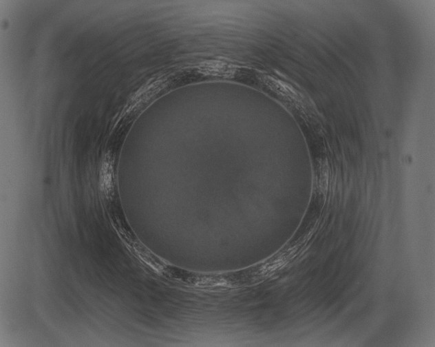 X0000081441154200701121159