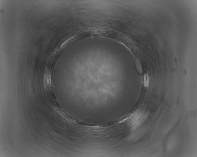 X0000081441155200701121159