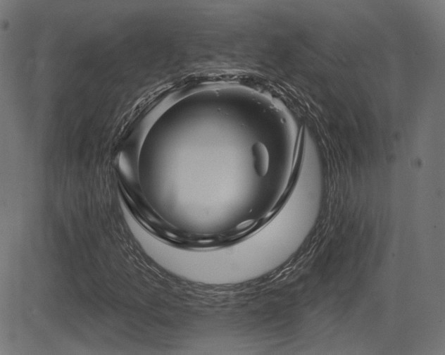 X0000081441157200701121159