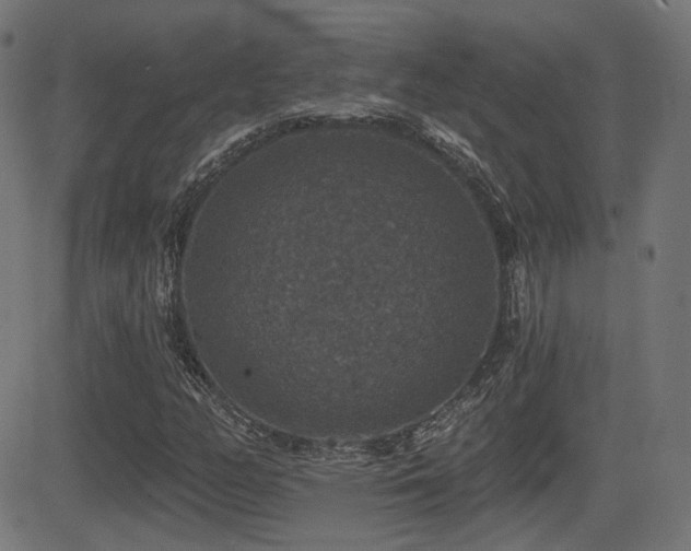 X0000081441158200701121159