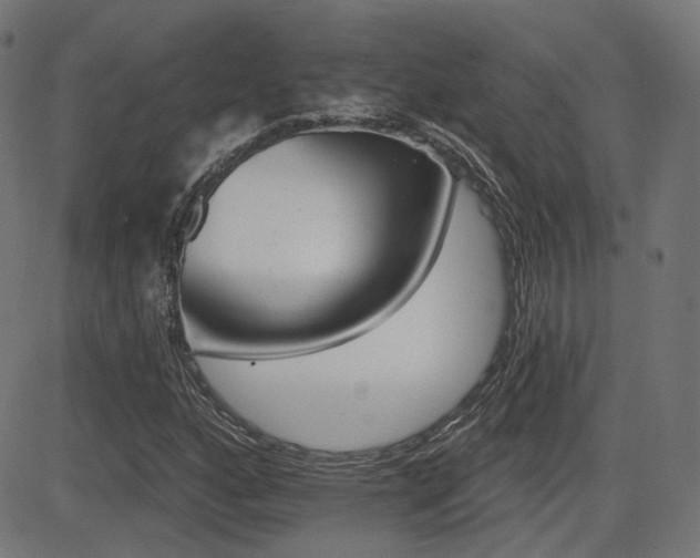 X0000081441160200701121158