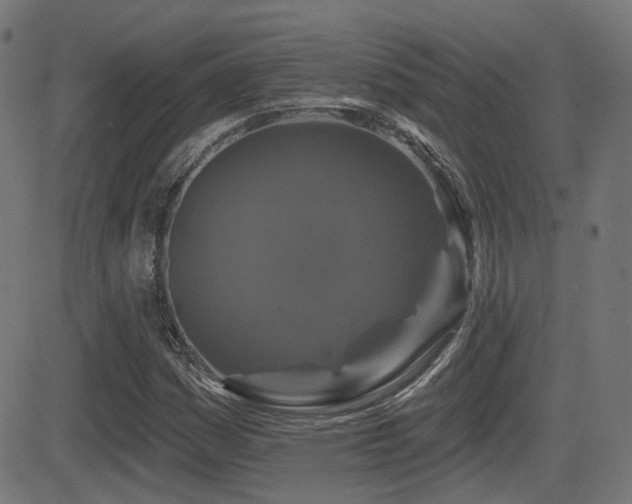 X0000081441161200701121158