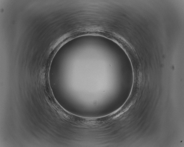 X0000081441162200701121158