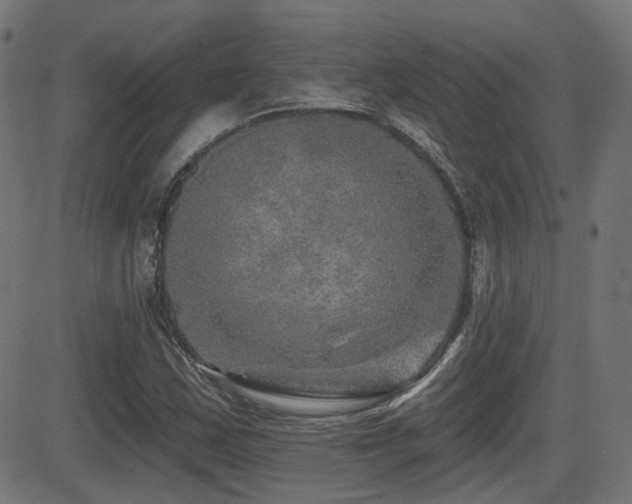 X0000081441163200701121158