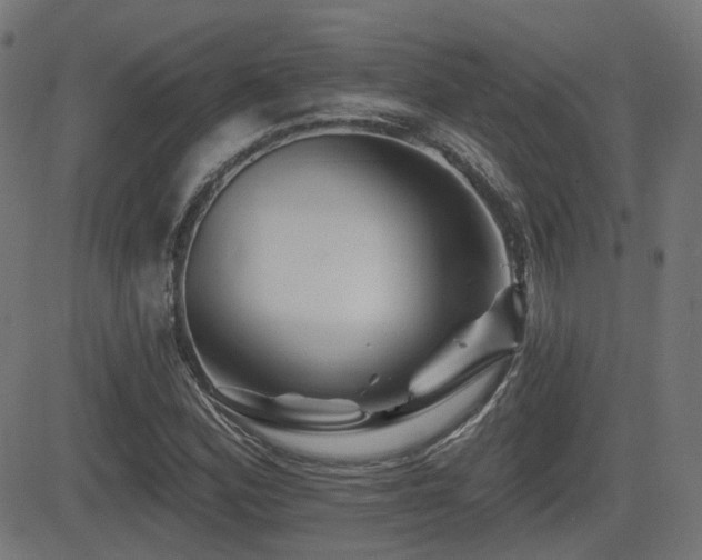X0000081441164200701121158