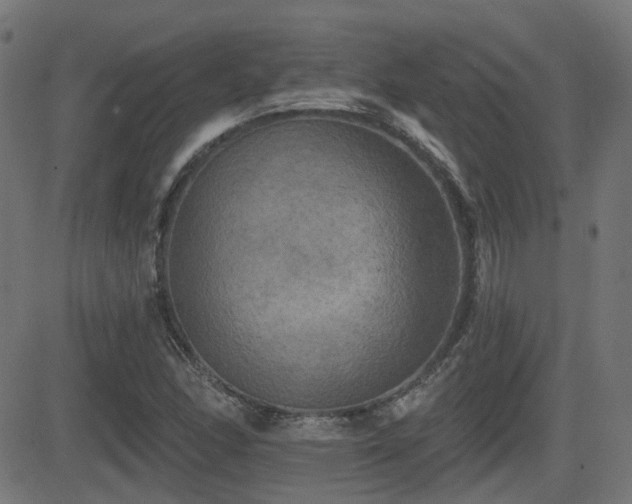 X0000081441166200701121158