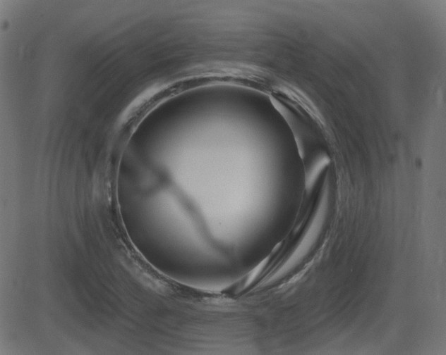 X0000081441172200701121158