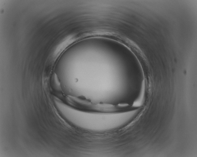 X0000081441177200701121158