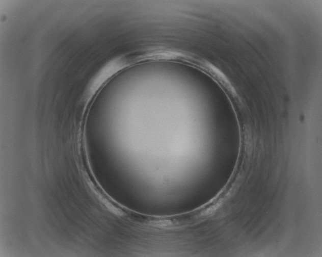 X0000081441186200701121158
