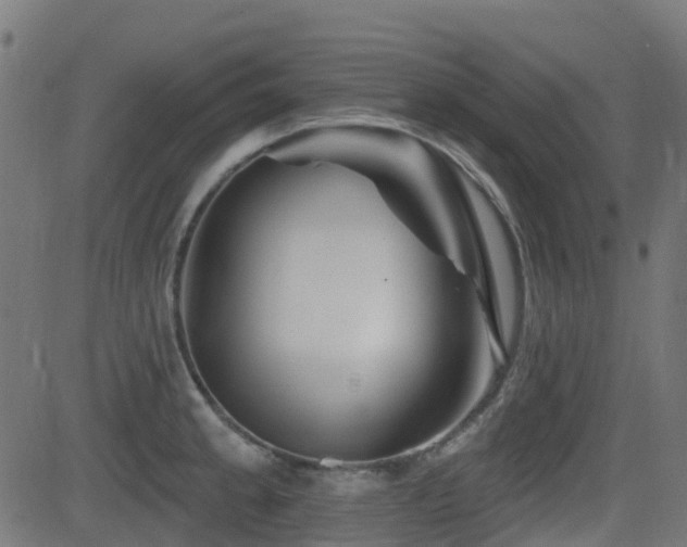 X0000081441189200701121158