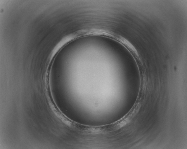 X0000081441190200701121158