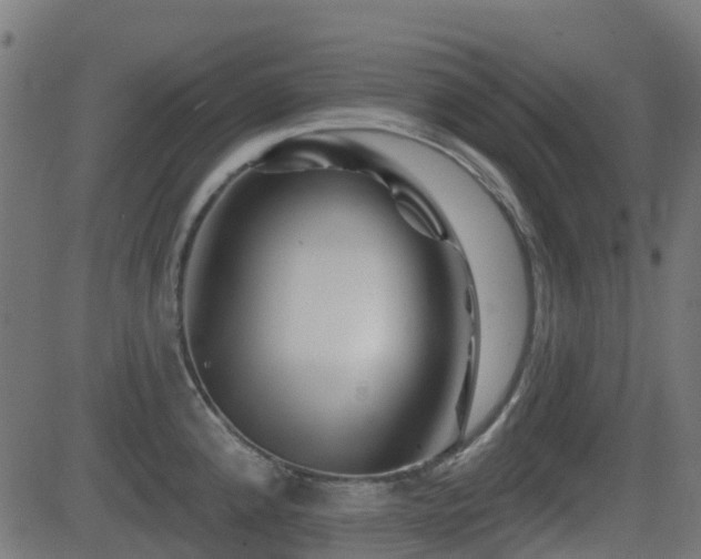 X0000081441192200701121158