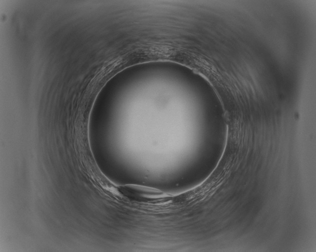 X0000081441201200701121157