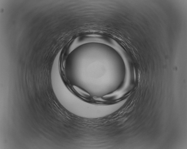 X0000081441202200701121157