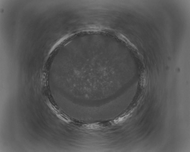 X0000081441208200701121157