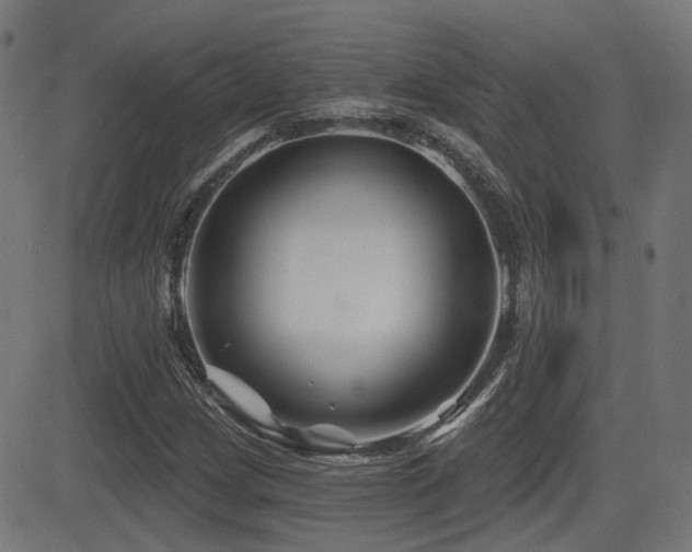 X0000081441209200701121157