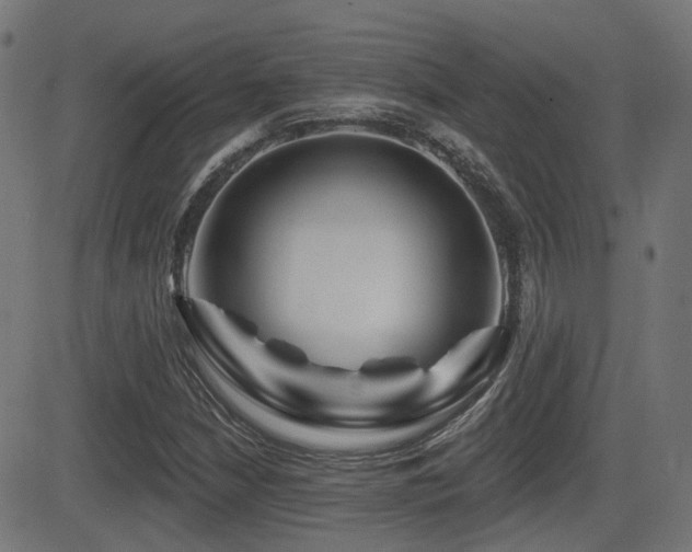 X0000081441210200701121157