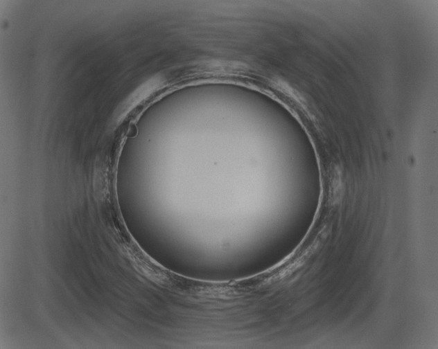 X0000081441211200701121157