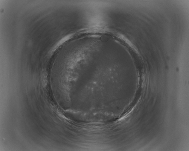 X0000081441213200701121157