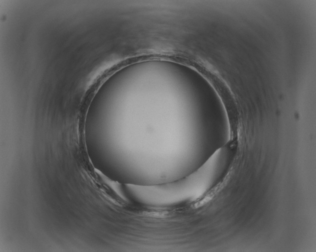 X0000081441214200701121157