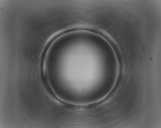 X0000081441222200701121157