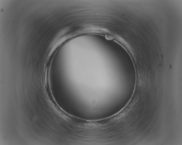 X0000081441227200701121157