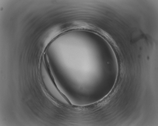 X0000081441234200701121158