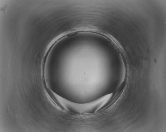 X0000081441246200701121158