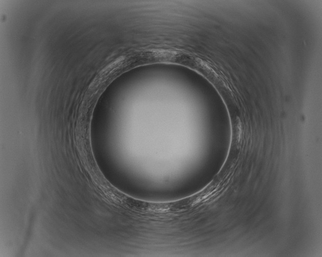 X0000081441249200701121157