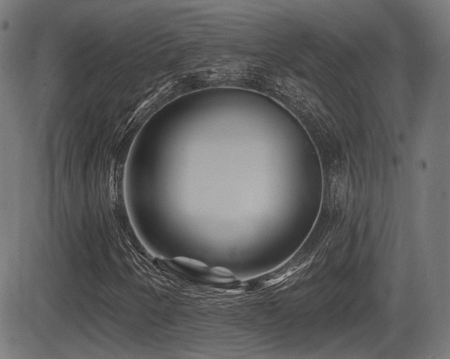 X0000081441250200701121157