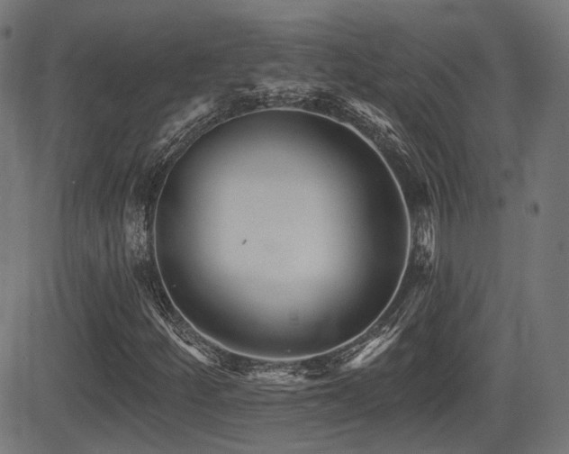X0000081441252200701121157
