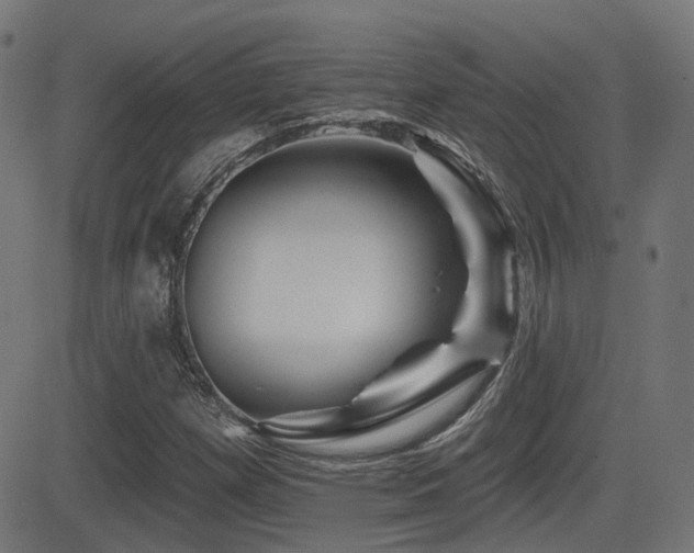 X0000081441257200701121157