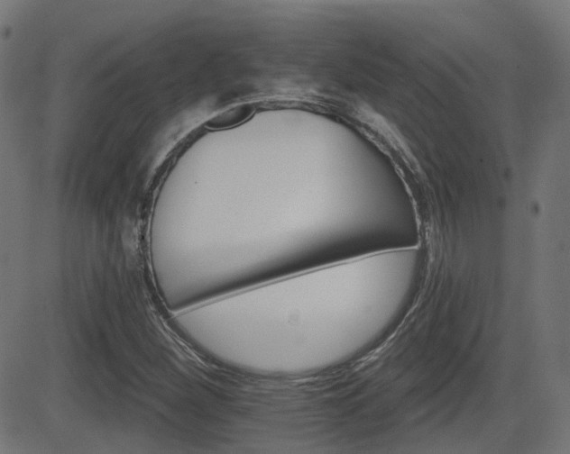 X0000081441260200701121157