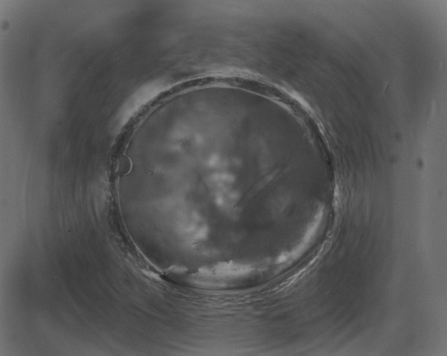 X0000081441263200701121157