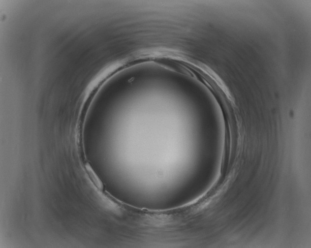 X0000081441285200701121156
