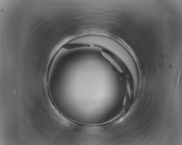 X0000081441293200701121156