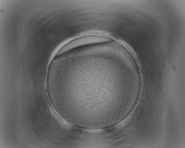 X0000081441296200701121156