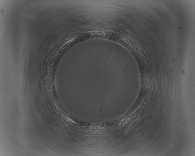X0000081441297200701121155