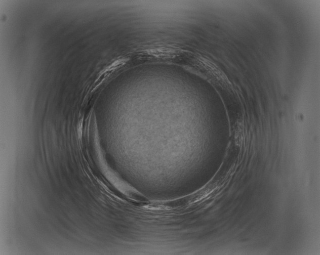 X0000081441298200701121155