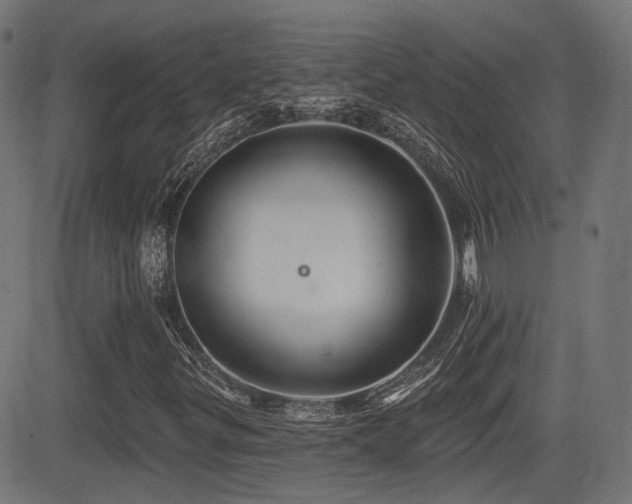X0000081441299200701121155